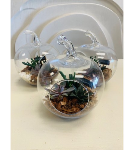 Unique Succulent Terrarium