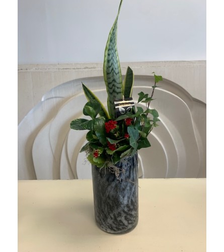 Tropical Vase Planter. An arrangement by Marianna's Flower Island.