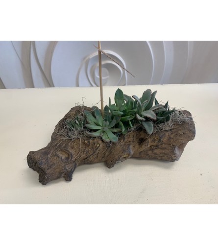 Unique Succulent Log Planter. An arrangement by Marianna's Flower Island.