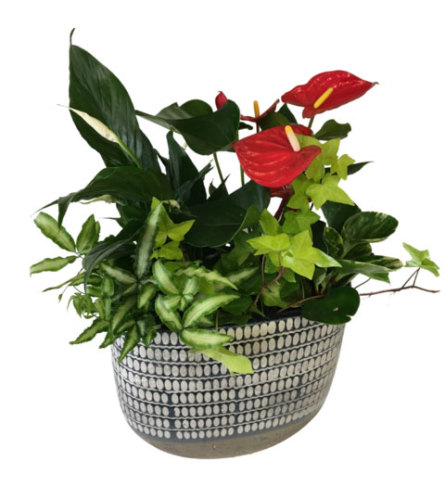 Tropical Delights. An arrangement by Fendley Florists.
