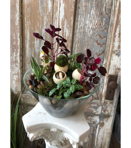 Fairy Garden in Glass Bowl. An arrangement by Appleblossoms Flowers, Gifts and More.