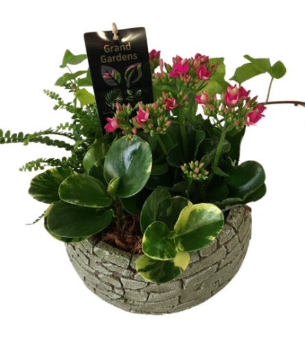 Tropical Brick Planter. An arrangement by Owen Sound Flowers.