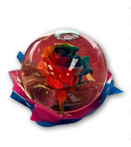 Remarkable Rainbow Rose in Glass Orb