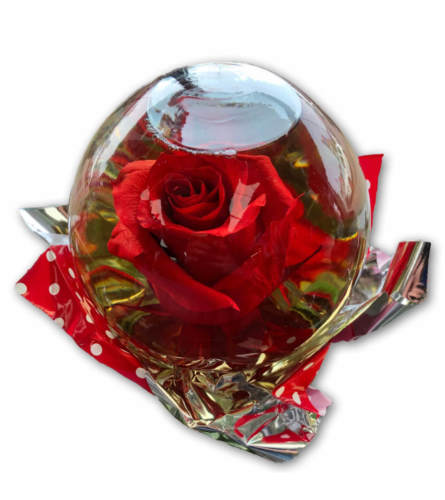 Regal Red Rose in Glass Orb