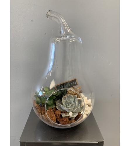 Pear Shaped Glass Terrarium