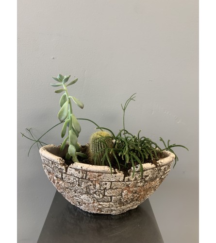 Modern Succulent Planter