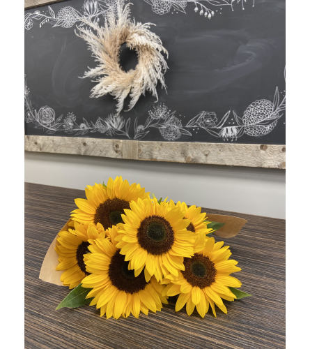 Armful of Sunflowers