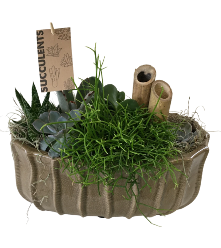 Manon Taupe Succulent Planter