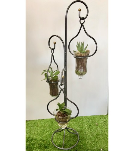 Tripple Hanging Plants