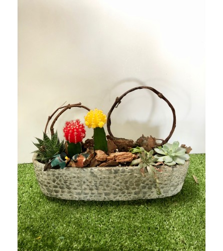 Glowing Cacti Dish Garden