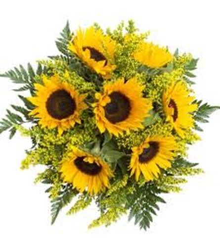 Bouquet of Sunflowers