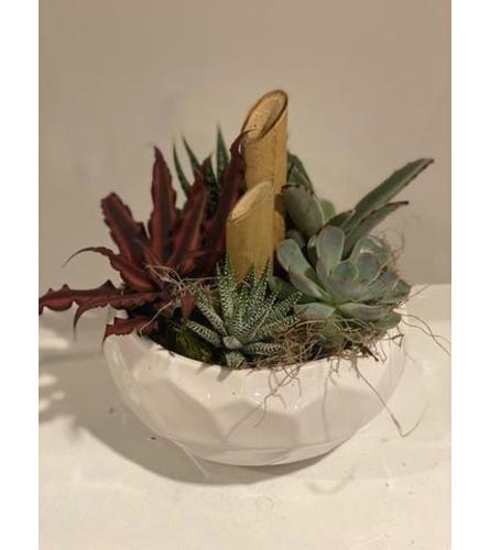 Geometric Succulents. An arrangement by The Garden Gate Gifts and Florals.