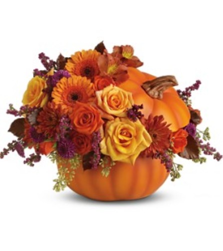 Blooming Pumpkin TF - Deluxe. An arrangement by Belak Flowers.