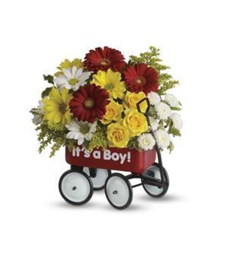 tf baby wagon for boy