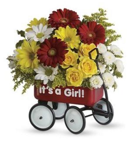 tf baby wagon for girl