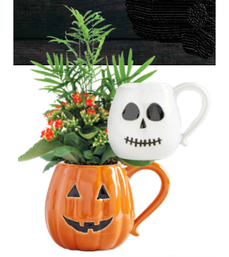 Assorted Pumpkin/ Ghost Mug Planter. An arrangement by Owen Sound Flowers.