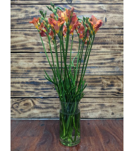 Fabulous Freesia. An arrangement by Dumont Florist.