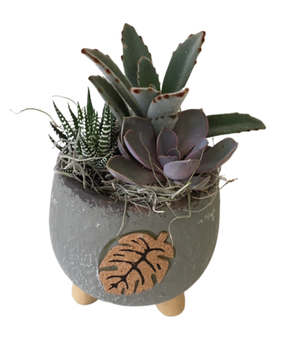 Succulent Leaf Planter