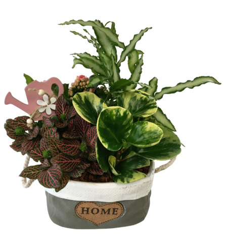 Home Tropical Tote Planter