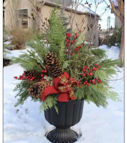 Festive Planter Insert