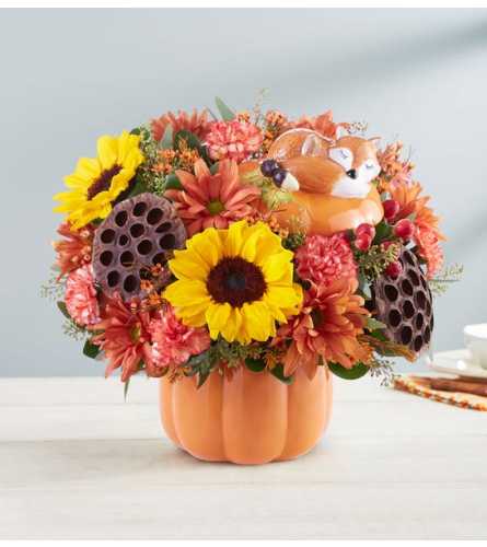 Pumkin and Posies