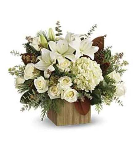 Teleflora Snowy Woods Bouquet