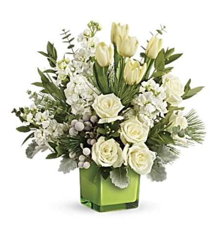 Teleflora Winter Pop Bouquet