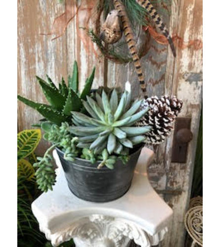 Succulent and pinecone dish garden