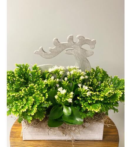 Reindeer Mixed Planter