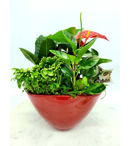 Red Ceramic Holiday Planter