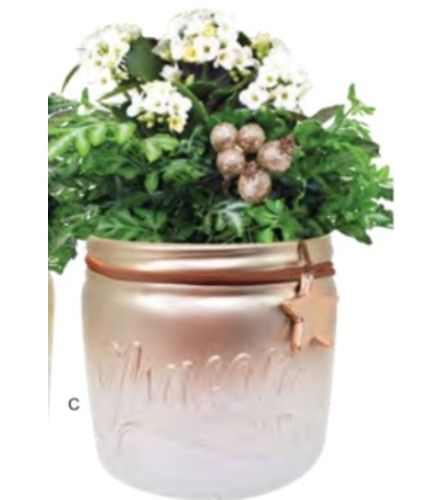 Champagne Jar Planter. An arrangement by Anderson Flowers.