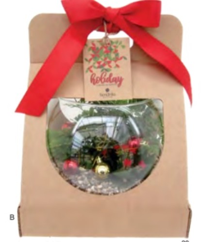 Christmas Rosebowl GardenPlanter