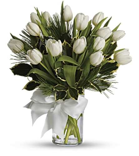 Tulips in Winter Vase - Deluxe. An arrangement by Nicol Florist.