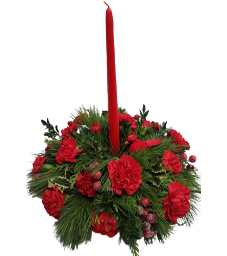 Christmas Celebration -Red. An arrangement by Harriet's Flower and Gift Shop.