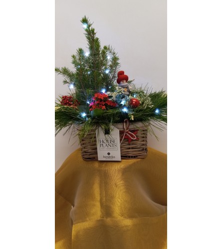 Christmas Tree Centrepiece Basket. An arrangement by Judy Nicholls Floral Studio.