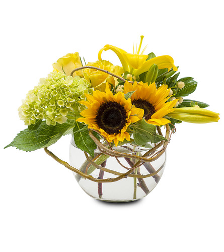 Sunshine in a Bubble. An arrangement by Deer Valley Florist and Flower Delivery.