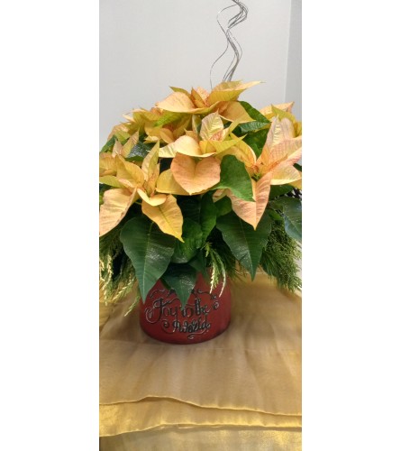 8" Crystal Ice Poinsettia - Fully Decorated