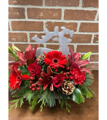 Run Reindeer. An arrangement by Wasaga Flowers.