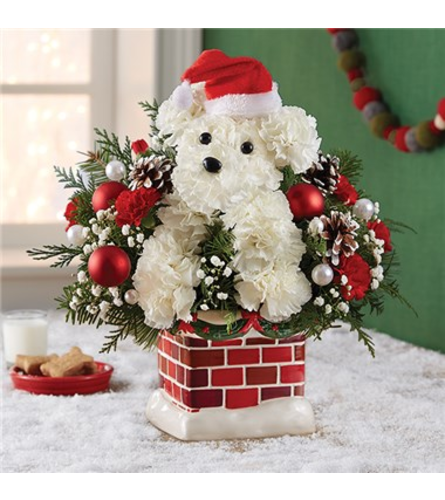 Santa Paws Chimney™. An arrangement by North Liberty Flower Shop.