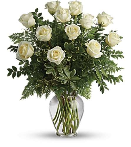 Joyful White Roses