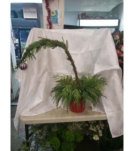 Large grinch tree. An arrangement by Jane's Floral Dreams.