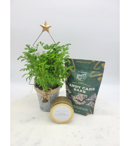 All About Christmas Gift Set. An arrangement by The Garden Gate Gifts and Florals.