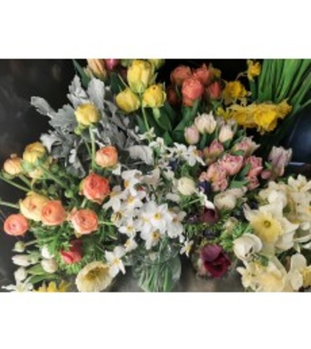 Bi-Weekly LOCAL STEMS Flower Subscription 2024 (4/1/2024-9/1/2024