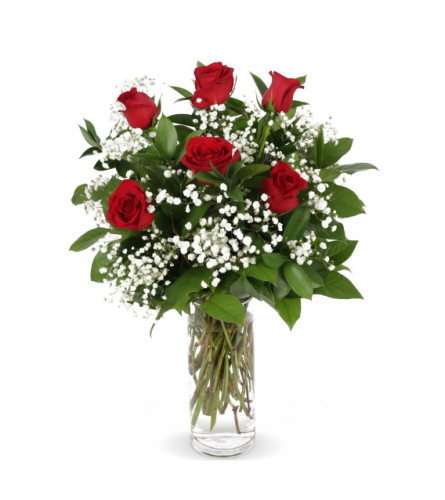 Six Classic Red Roses