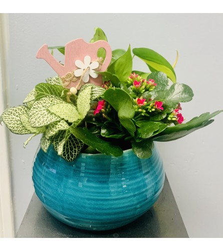 Round Blue Spring Planter