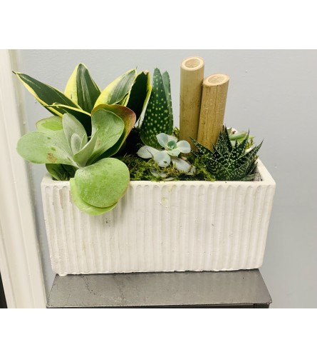 Chic Succulent Planter