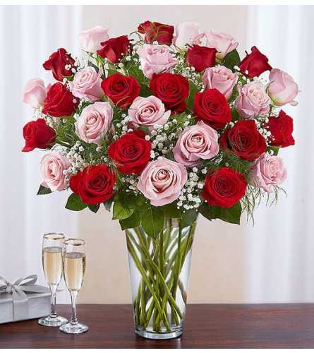 Full Elegance Long Stem Pink & Red Roses