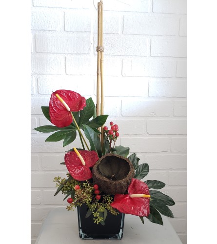 High Style Anthuriums - Deluxe. An arrangement by Avenue Florist.