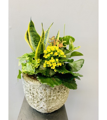 Rustic Spring Stone Planter