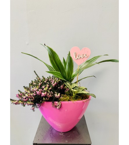 Pink Passion Planter. An arrangement by Marianna's Flower Island.